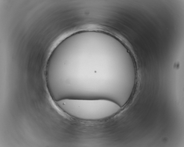 X0000113611429200909181040