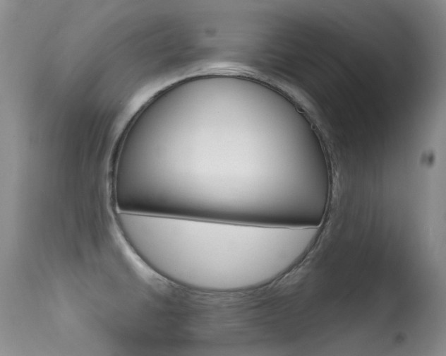 X0000113611430200909181040