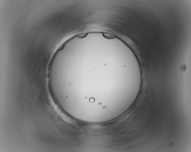 X0000113611431200909181040