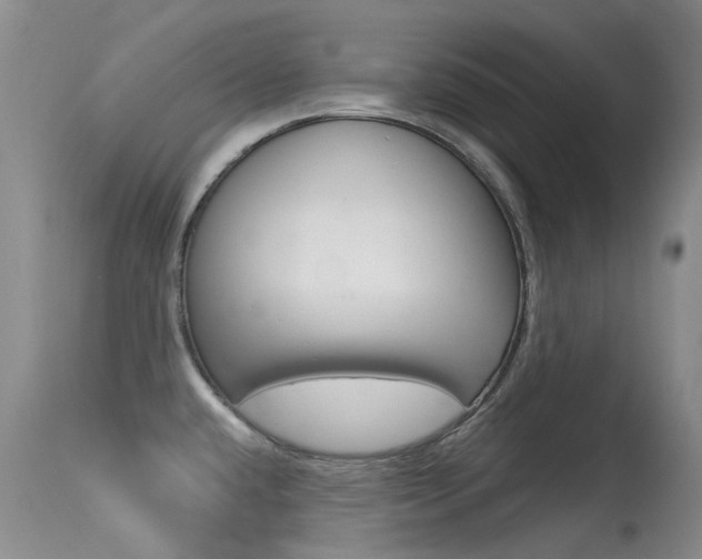 X0000113611432200909181040
