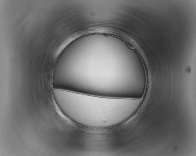 X0000113611433200909181040