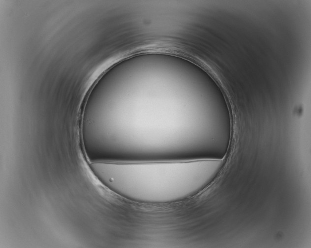 X0000113611434200909181040