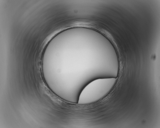 X0000113611435200909181040