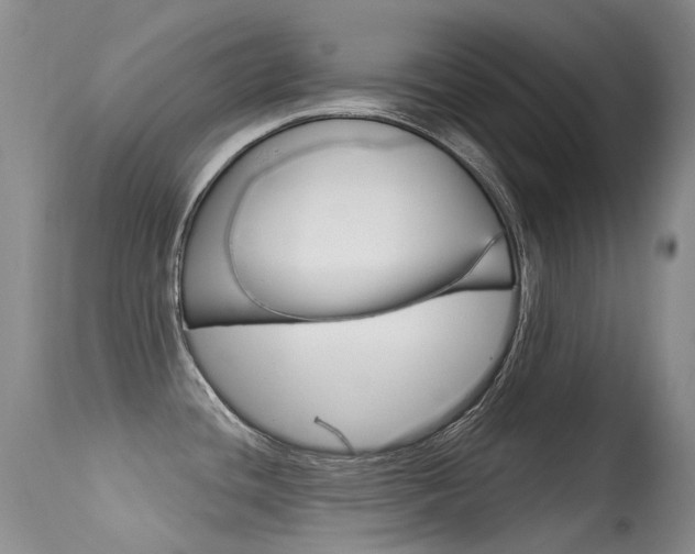 X0000113611436200909181040