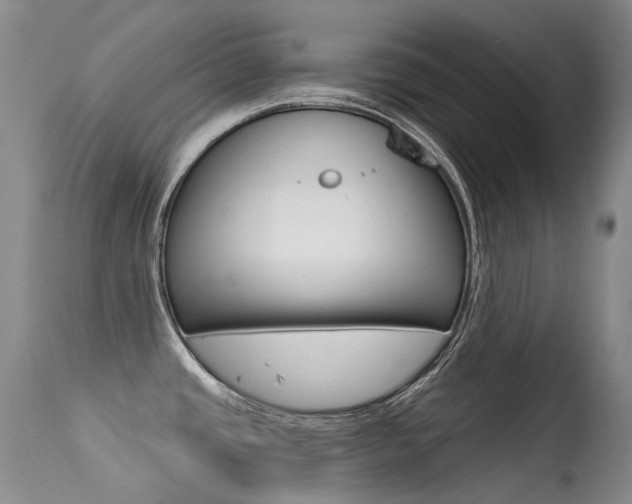 X0000113611437200909181040