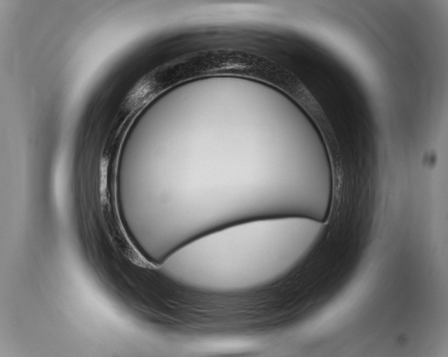 X0000113611439200909181040