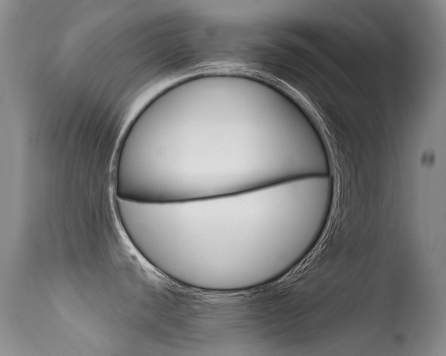 X0000113611440200909181040