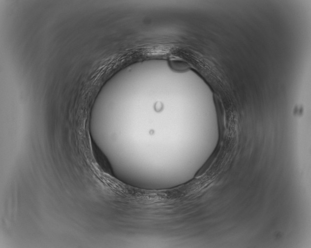 X0000113611441200909181040