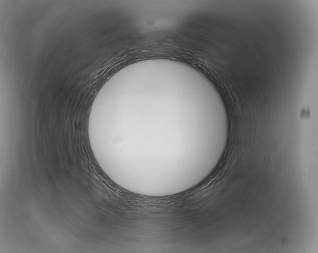 X0000113611443200909181040