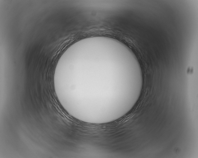 X0000113611444200909181040