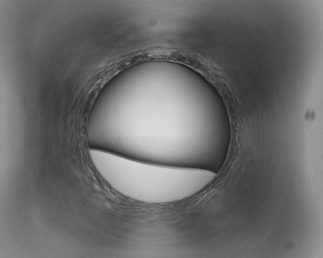 X0000113611445200909181040