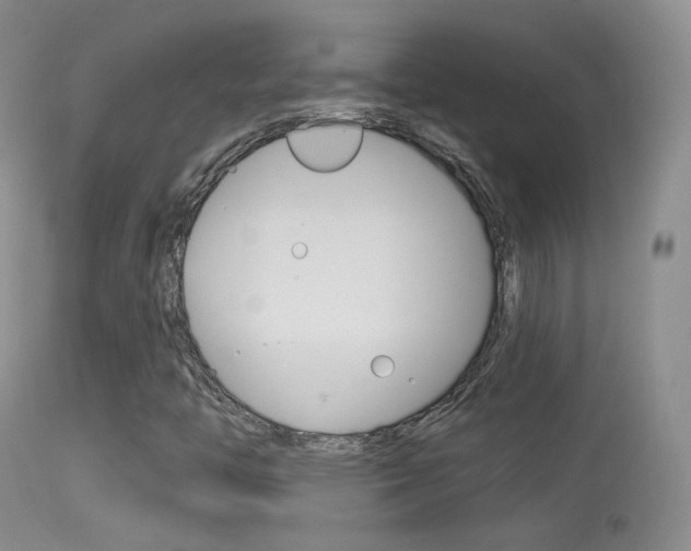 X0000113611446200909181040