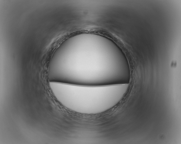 X0000113611447200909181040
