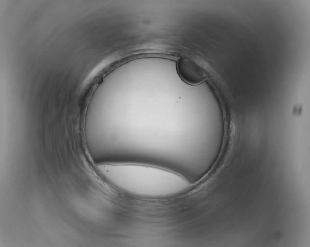 X0000113611450200909181040