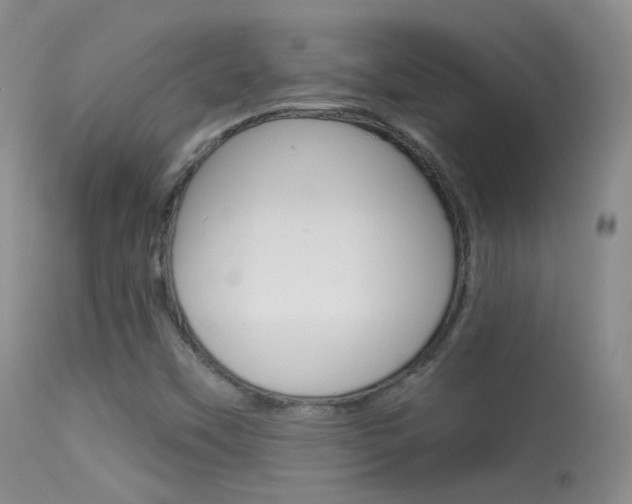 X0000113611451200909181040