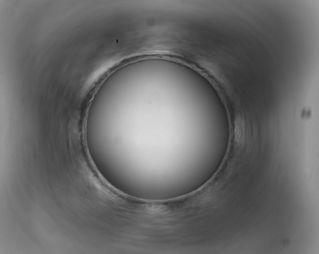 X0000113611452200909181040