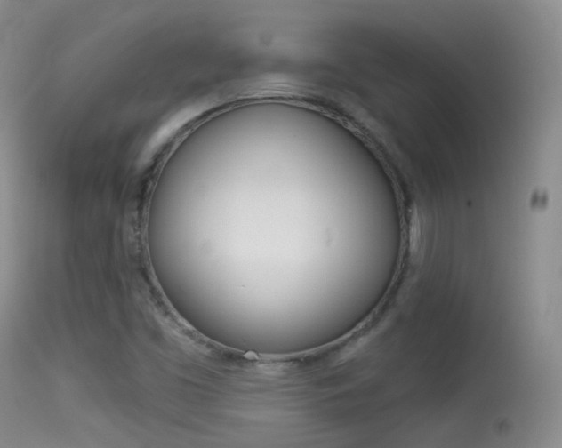 X0000113611453200909181040