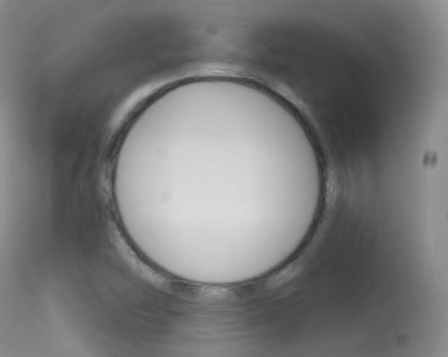 X0000113611454200909181040