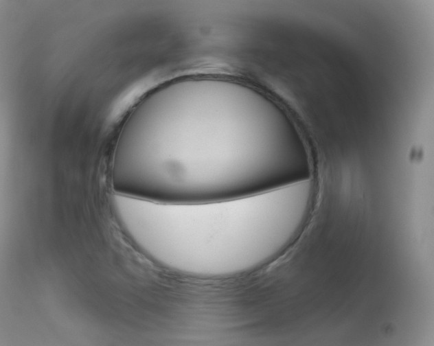 X0000113611455200909181040