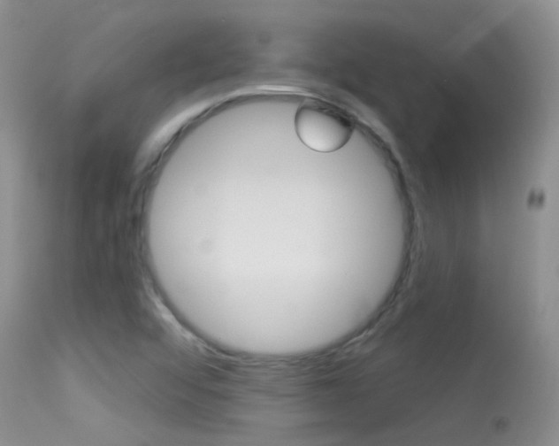 X0000113611456200909181040