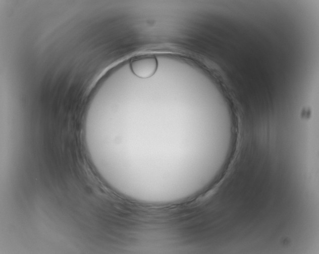 X0000113611457200909181040