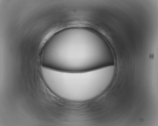 X0000113611459200909181039