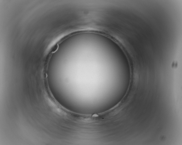 X0000113611460200909181039