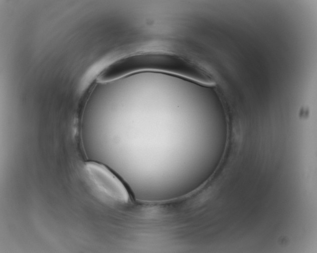 X0000113611461200909181039