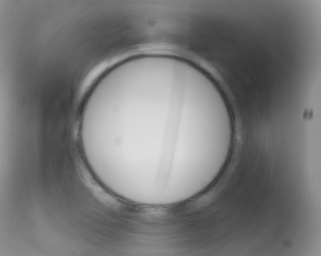 X0000113611462200909181039