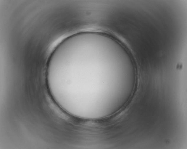 X0000113611463200909181039