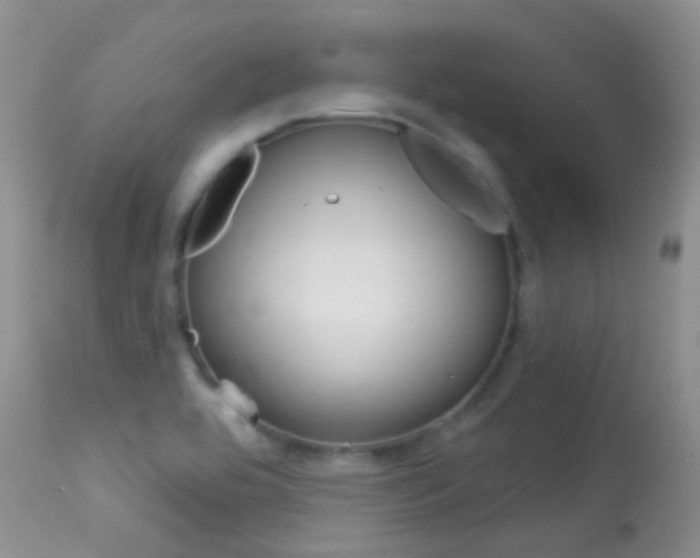 X0000113611464200909181039