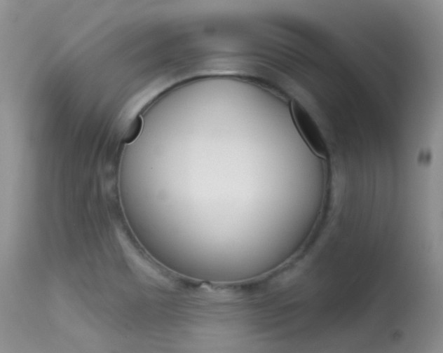X0000113611465200909181039