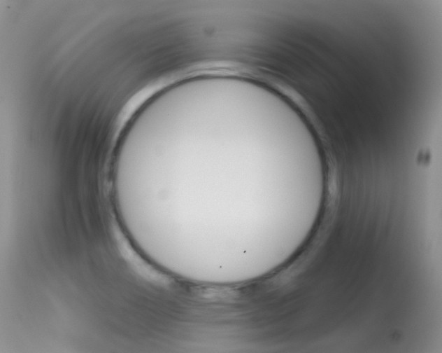 X0000113611466200909181039