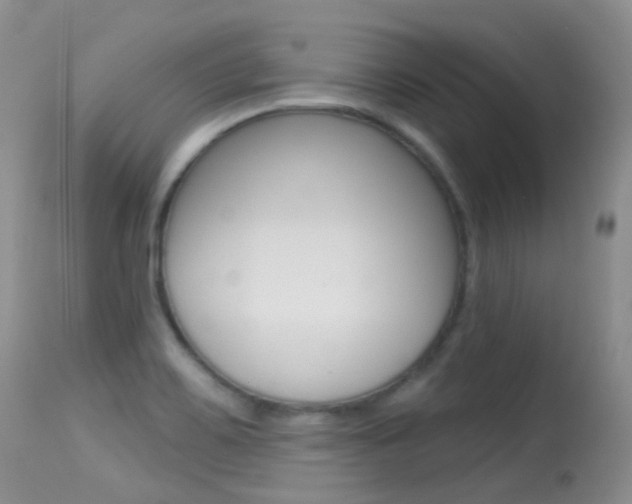 X0000113611467200909181039