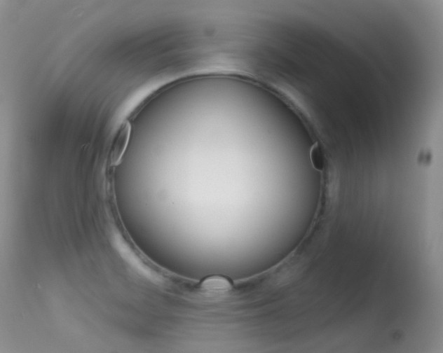 X0000113611468200909181039