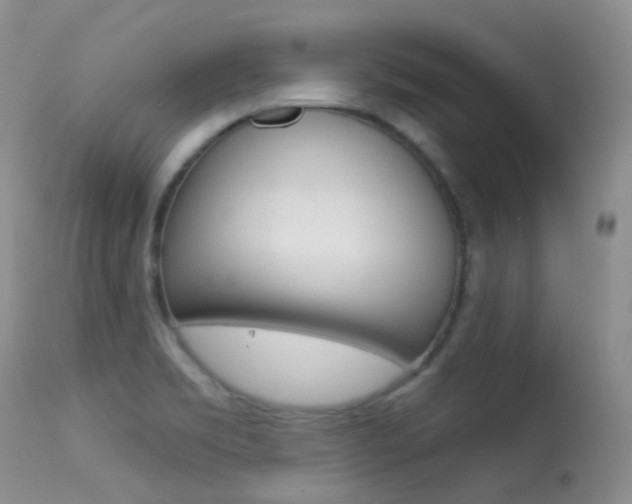 X0000113611469200909181039