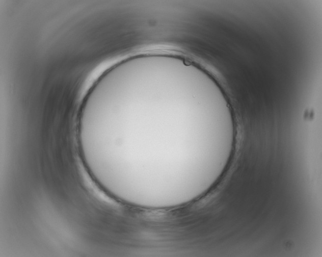 X0000113611470200909181039