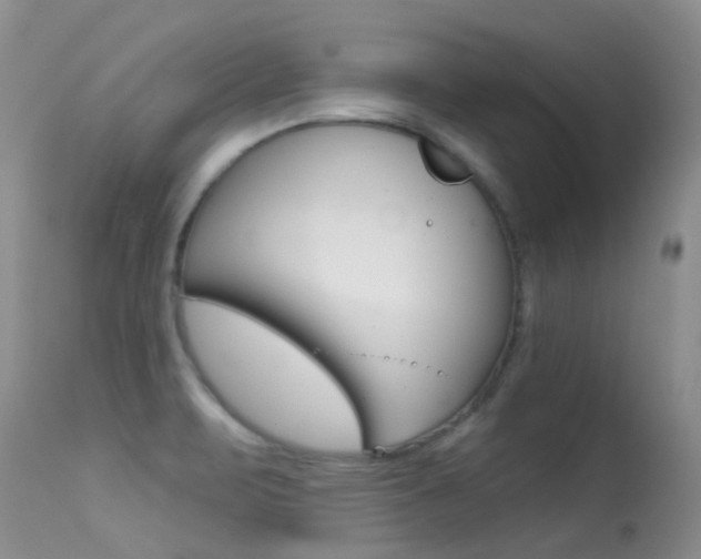 X0000113611471200909181039