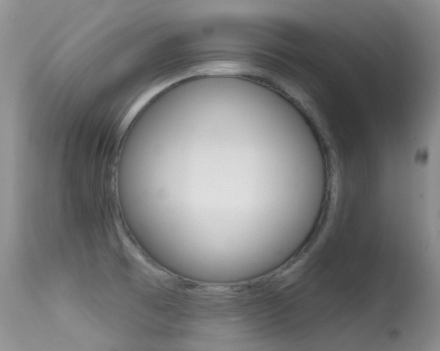 X0000113611473200909181039