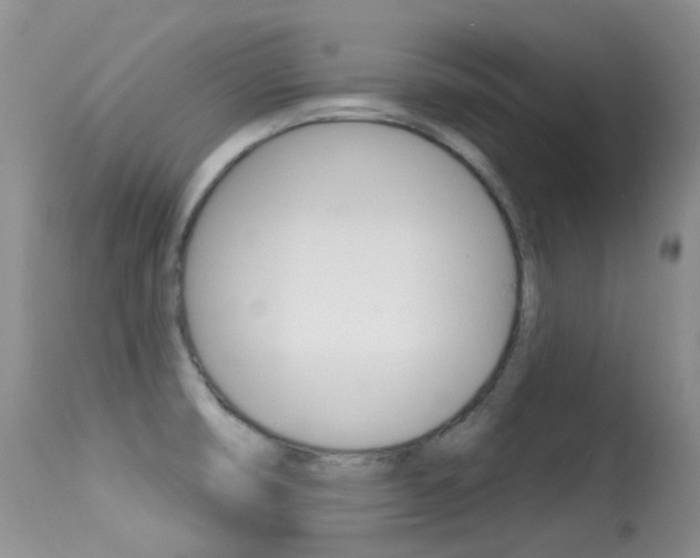 X0000113611474200909181039