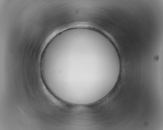 X0000113611475200909181039