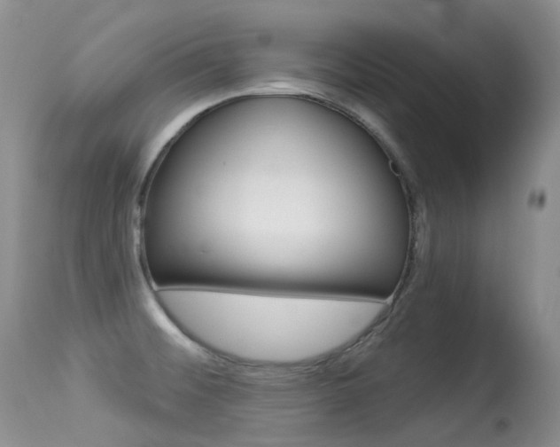 X0000113611476200909181039