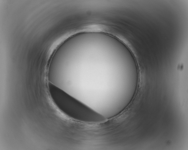 X0000113611477200909181039
