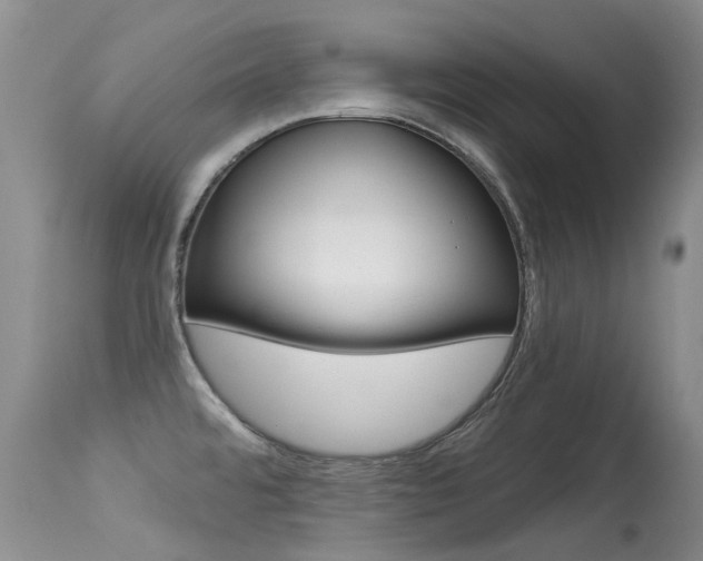X0000113611480200909181039