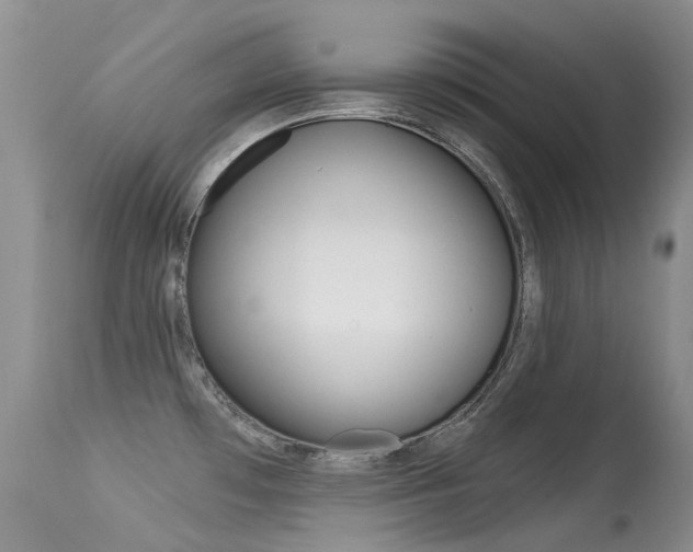 X0000113611481200909181039