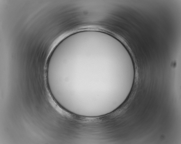 X0000113611482200909181039