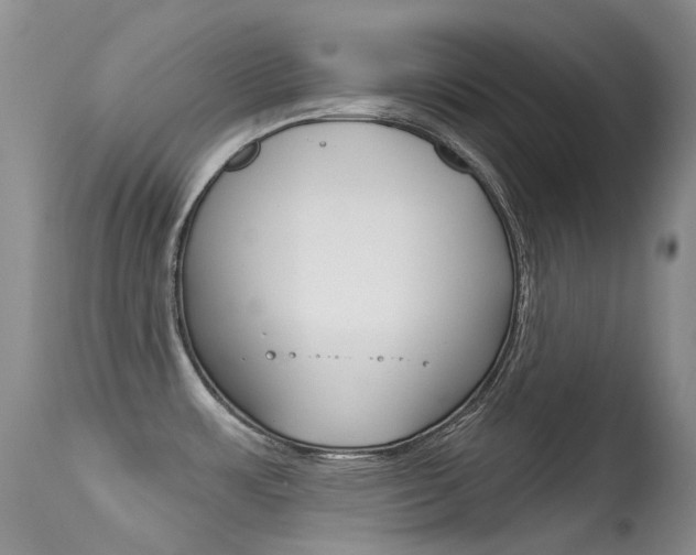 X0000113611483200909181039
