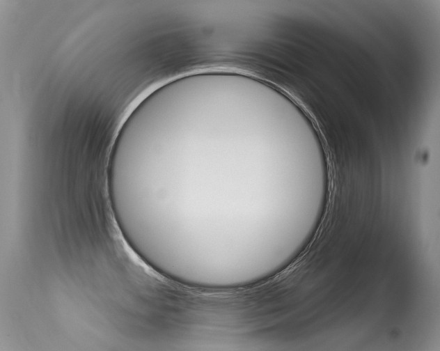 X0000113611484200909181039