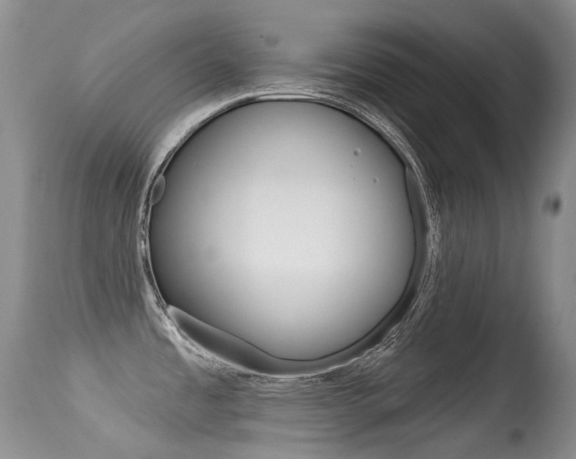 X0000113611485200909181039