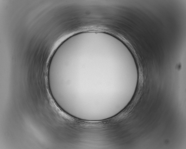 X0000113611486200909181039